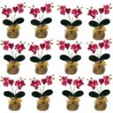 Ver imagem 1 de Kit com 12 Orquídea Rosa Artificial Importada para Design de Interiores
