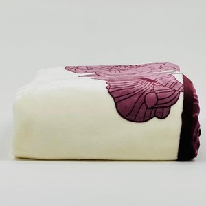 Cobertor Jolitex Casal Raschel Plus Microfibra Pelo Baixo Unissex 180x220 Mazurca-vinho