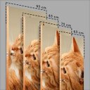 Ver imagem 5 de Adesivo para Porta Unicórnio Baby no Arco-Íris- 63X210Cm