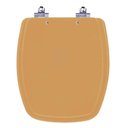 Ver imagem 1 de Assento Sanitário Laqueado Soft Close Stylus Amarelo Terra para Vaso Celite