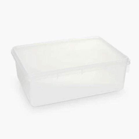 Caixa Organizadora Plástica Retangular 3,5L com Tampa Plasvale Brinquedos Closet