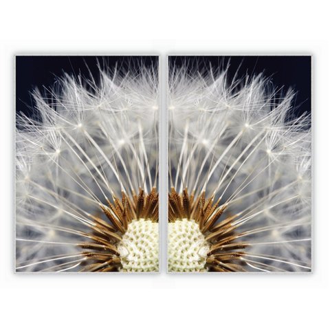 kit com 2 Quadros Decorativos Florais com Moldura e Vidro para Sala Quarto Escritório e Clínica 82