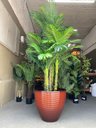 Ver imagem 5 de Vaso de Planta Grande Decorativo para Sala Auto Brilho 47cm (liso/terracota)