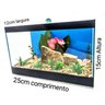 Aquário Peixe Betta, Beteira com Decoração Fixa 4,3litro - 4