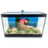 Aquário Peixe Betta, Beteira com Decoração Fixa 4,3litro - 3