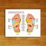 Quadro Mapa Reflexologia Podal 45x34cm - com vidro:Madeira preta - 2