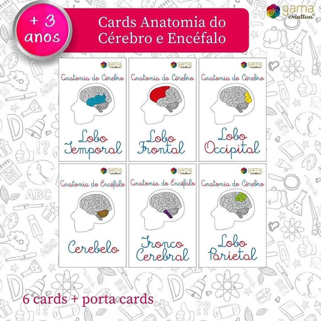 Cards Anatomia Cabeça Aprendendo Educativo Pedagógico