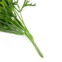 Ver imagem 3 de Folha Artificial Chifre de Veado para Pendurar Verde 76 Cm F04 - D'rossi Drossi