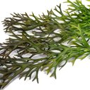 Ver imagem 2 de Folha Artificial Chifre de Veado para Pendurar Verde 76 Cm F04 - D'rossi Drossi