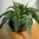 Ver imagem 2 de Arranjo Completo Centro Mesa Grande Samambaia Vaso Preto Decore Fácil Shop