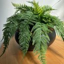 Ver imagem 3 de Arranjo Completo Centro Mesa Grande Samambaia Vaso Preto Decore Fácil Shop