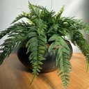 Ver imagem 1 de Arranjo Completo Centro Mesa Grande Samambaia Vaso Preto Decore Fácil Shop