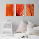 Ver imagem 1 de Kit 3 Quadros Decorativos Folhas Alaranjadas 33x24cm - com Vidro:madeira Branca