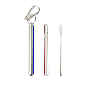 Canudo de Inox Chaveiro Retrátil:prata