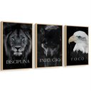 Ver imagem 5 de Kit 3 Quadros Disciplina Execução Foco Motivação Moldura:castanho