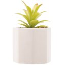 Ver imagem 2 de Cachepot com Suculenta Wolff Geométrico Cimento