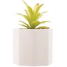 Cachepot com Suculenta Wolff Geométrico Cimento - 2