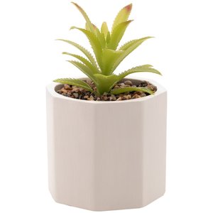 Cachepot com Suculenta Wolff Geométrico Cimento