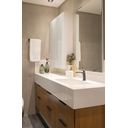 Ver imagem 3 de Misturador Monocomando para Banheiro e Lavabo Evoq Bica Baixa Lexxa