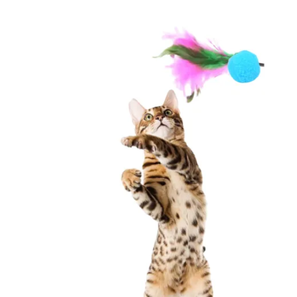 Brinquedo Varinha com Bolinha e Penas para Gato: Água