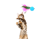 Ver imagem 1 de Brinquedo Varinha com Bolinha e Penas para Gato: Água