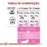 Ração Royal Canin para Gatos Filhotes Castrados de 6 a 12 Meses - 4 Kg - 3