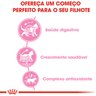 Ração Royal Canin para Gatos Filhotes Castrados de 6 a 12 Meses - 4 Kg - 2