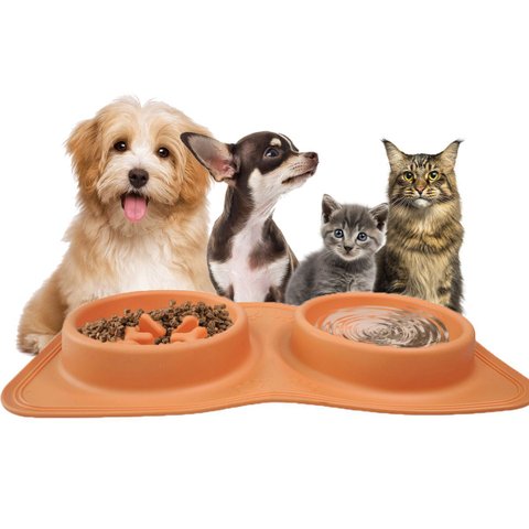 Comedouro Bebedouro 2 em 1 Silicone Raçao Agua Cachorro Gato Cao Pet Animais Comida Hidrataçao Tijel