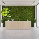 Ver imagem 3 de 17 Placas Buxinho Artificial Jardim Vertical Parede Verde 3d Decoração Folhagem