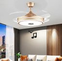 Ver imagem 5 de Ventilador de Teto Retrátil com Som e Bluetooth