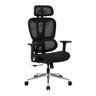 Cadeira de Escritório Ergonomica Bluecase Office Ergo Master - Preta - Bcom-01bkbkbx - 1