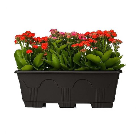 Vaso de Planta Floreira 10 Litros Jardineira de Chao Grande Casa Jardim Varanda Comercio Horta Retan
