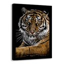 Ver imagem 1 de Quadro Motivacional a Face do Tigre - Moldura Preta - 20x30cm