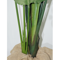 Planta Artificial Bananeira Toque Real Realista 1.8mt Grande - 3