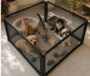 Ver mais imagens de Cercado Expansível para Pet Pequeno/Médio Porte - 4 Módulos Aço  Ninos