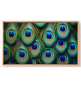 Ver imagem 2 de Quadro Decorativo N°150 115x70cm - Panorâmico Abstrato - Penas de Pavão Textura - Rollflex