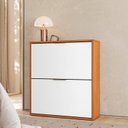 Ver imagem 1 de Sapateira com 2 Portas Multiuso Organizadora para Calçados Closet e Quarto Cinamomo/Branco