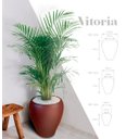 Ver imagem 2 de Vitoria