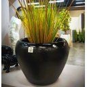 Ver imagem 6 de Vitoria