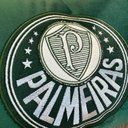 Ver imagem 4 de Almofada Veludo Rineira Bordada Palmeiras 50x30cm. Com Enchimento