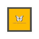 Ver imagem 1 de Quadro Quadrado Borboleta Universo 20x20cm:Madeira branca