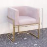 Poltrona Elegance Pé Dourado Assento Rose 72x68x63cm - 2
