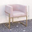 Ver imagem 2 de Poltrona Elegance Pé Dourado Assento Rose 72x68x63cm