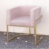 Poltrona Elegance Pé Dourado Assento Rose 72x68x63cm - 4