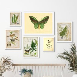 Composição 6 Quadros Botânica - Animais e Plantas Verdes:madeira Branca - 1