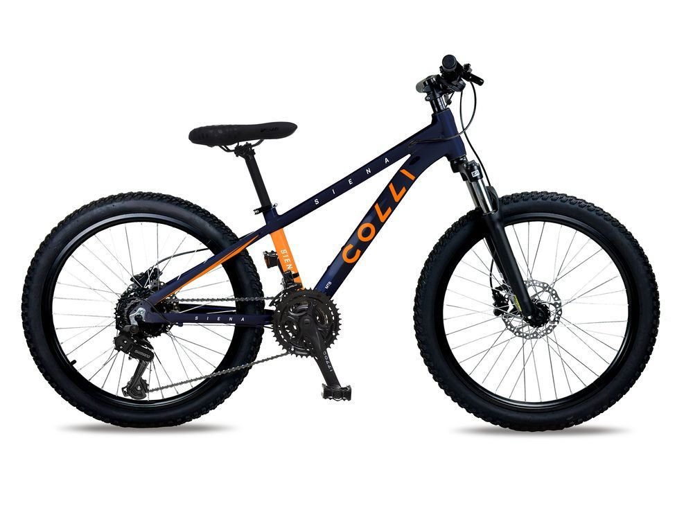 Bicicleta Gios Frx Freeride Aro 26 A Disco 21v. Preta Verde
