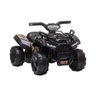 Quadriciclo Elétrico Infantil 6V Bel - Preto - 2