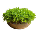 Ver imagem 1 de Arranjo Grande Centro de Mesa Vaso Incolor com Verdinho Decore Fácil Shop