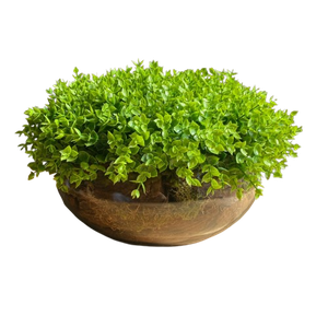 Arranjo Grande Centro de Mesa Vaso Incolor com Verdinho Decore Fácil Shop