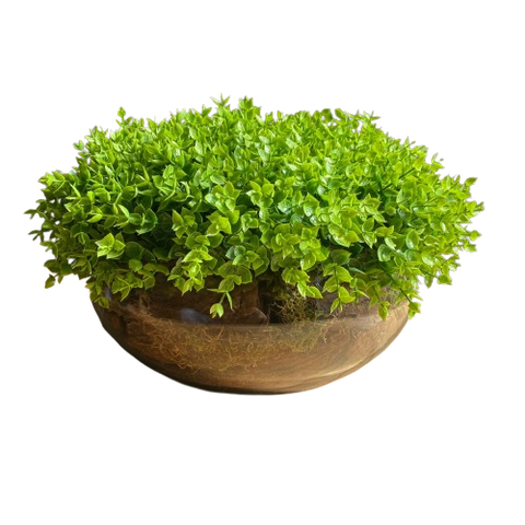 Arranjo Grande Centro de Mesa Vaso Incolor com Verdinho Decore Fácil Shop